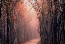 西甲官方：巴萨仍违反公平竞赛规则，无法注册奥尔莫和维克托.