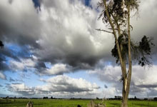 开云体育官网：[图]U20亚洲杯-蒯纪闻破门 国青2-1卡塔尔迎开门红.