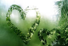 开云体育官网：字母哥与约基奇 领跑NBA全明星投票.